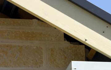 soffit repair Trelowia